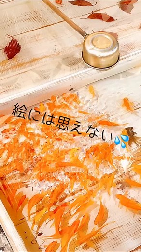 #金魚#佐野美術館#金魚絵師 #深堀隆介展