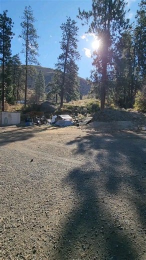 Morning routine. #homesteading #homestead #homesteadlife #farmlife #goats #goat #goatsofinstagram #dairy #milk | Mountain Spring Homestead