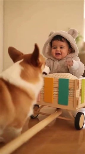 Baby’s Puppy Parade: Joyful Wagon Ride! 🛒🐶