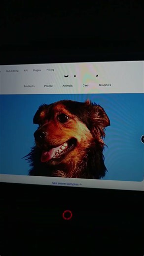 Useful website you should know.Remove the background of any image instantly.🌐 Website: remove.bg