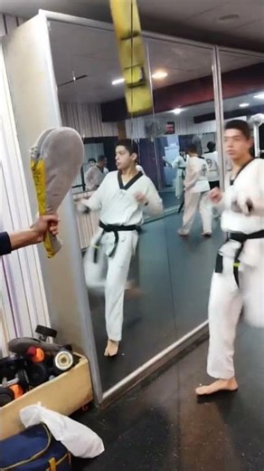 Taekwondo training -Dollyo Chagi kick #kukkiwon #martialartstraining#karate #teakwondolifestyle #wtf