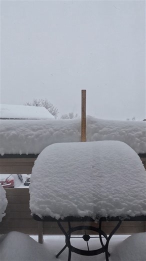 3.7K views · 110 reactions | The Denver Gazette's Jonathan Ingraham captured 36 hours of Metro Denver's massive snowstorm, resulting in 19" of fresh snow at his Lakewood, Colo. residence. | The Denver Gazette | Facebook