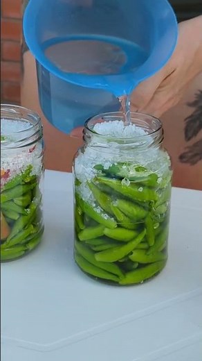 Eingelegte Peperoni | lecker wie vom Grieche