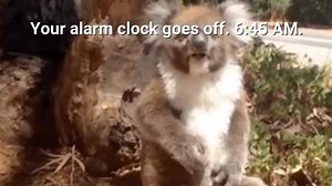 147K views · 482 reactions | Monday's ain't easy. | Playbuzz Quiz | Facebook