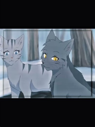 Graystripe & Silverstream Edit × Music: Alibi - Sevdaliza × Used: In Description