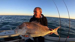 Off-road snapper mission - catch, cook, and enjoy