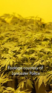 7K views · 32 reactions | Due to the efforts of our Lancaster Police...