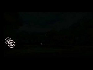 Craving Quest VIP MOD