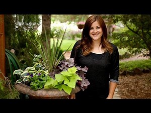 Shade Container Inspiration