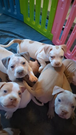 1K views · 19 reactions | Slow motion 2 | Luke Hersey | Facebook