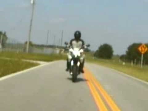 2008 Triumph Tiger 1050