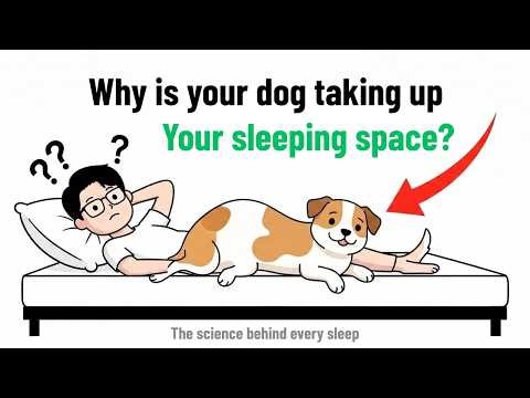 Psychology of Dogs Revealed – What They’re Telling You Every Night! | Canine psychology