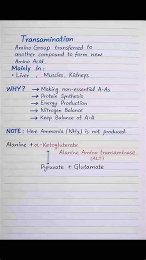 Your body can make its own amino acids 🤯💥 Yes! This is called Transamination — the secret of protein metabolism! Easy explanation for students 📚✨ Watch till end & save for exams 💚 #Transamination#ProteinMetabolism#AminoAcids#BioTok#MedTok