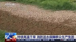 Fish die and crops wither in Chinese drought
