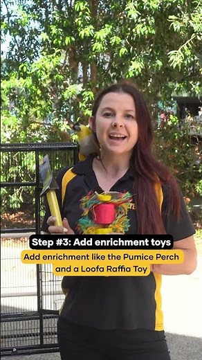 How to set up your bird cage?