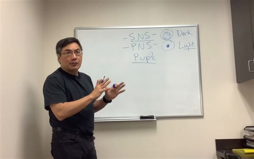 Autonomic Nervous System in Neuro-ophthalmology - 神经眼科中的自主神经系统