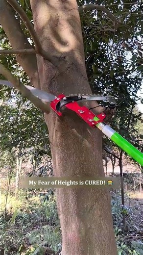 My Fear of Heights is CURED! 😂 This Tool's SNIP is Pure ASMR! #gardening #tools