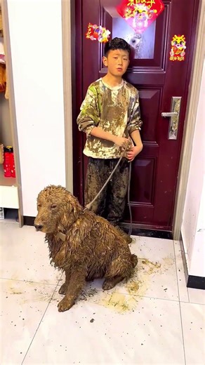 Мальчик испачкал собаку и превратил её в льва