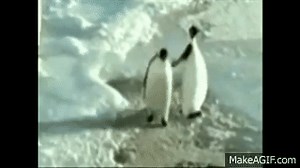 Penguin slaps other penguin on Make a GIF