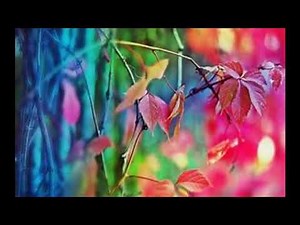 David Guetta & Bebe Rexha - I'm Good (Blue) | 10 Hours Songs