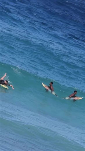 Portland Surf Co. on TikTok