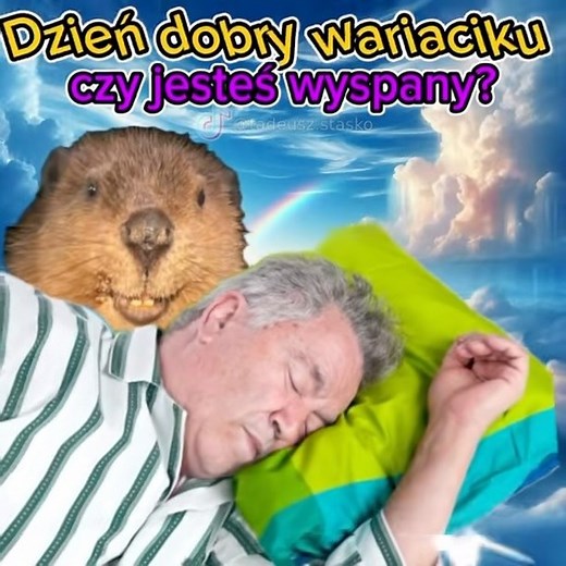 Tadeusz Staśko on Instagram: "dzień dobry wariaciku #boberek #bober #dzieńdobry #milegodnia"