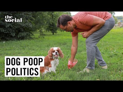 Is It Okay to Toss Dog Poop Bags In a Stranger’s Bin? | The Social