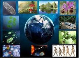 Conceptos Básicos de Ciencias Naturales