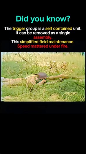 M1 Garand: Built for Speed in Battle