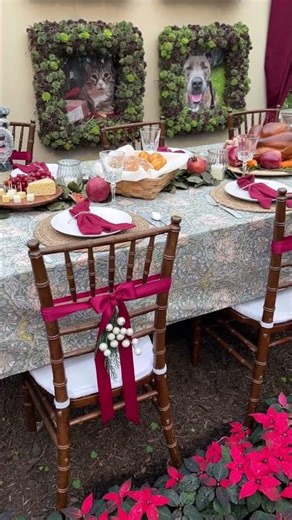 Dinner with the #dogs