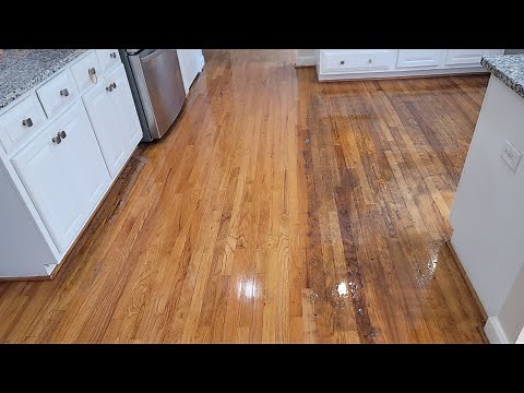 Much oil and grease on the kitchen wood floors that Needed a good cleaning before recoating