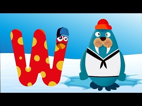 ABC Phonics with ABC Animals | WALRUS | Letter W
