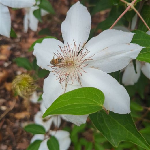 ProPlugger on Reels | Facebook