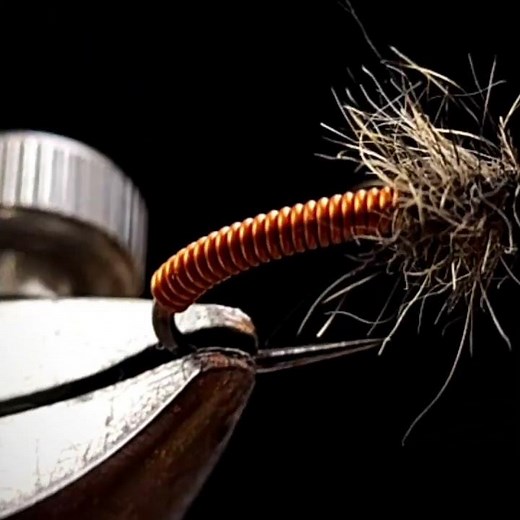 Hare's Ear Brassie fly pattern - Show case fly tying short #flytying #troutflies