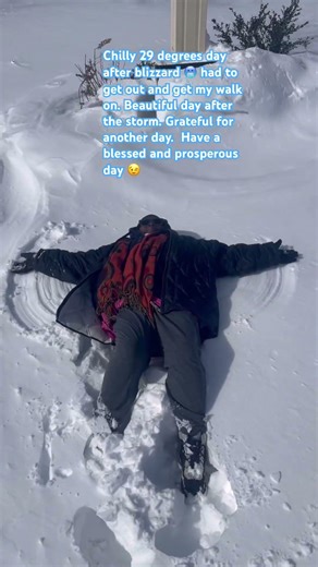 Beautiful walk after the blizzard of 2026 #snow #winter #snowday #walking #fun #happiness