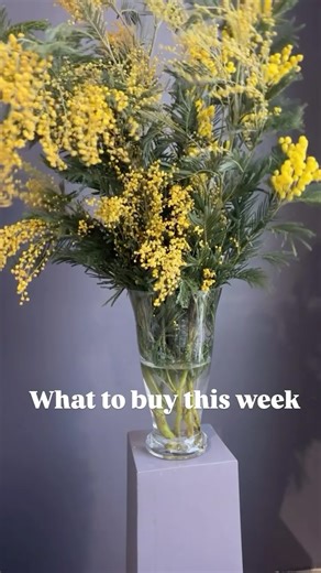 Florist Halifax Nova Scotia | Flowers | Weddings on Instagram: "#halifaxns #floristhalifax #flowershalifax #flowershalifaxnovascotia #bouquetofflowers #flowers"