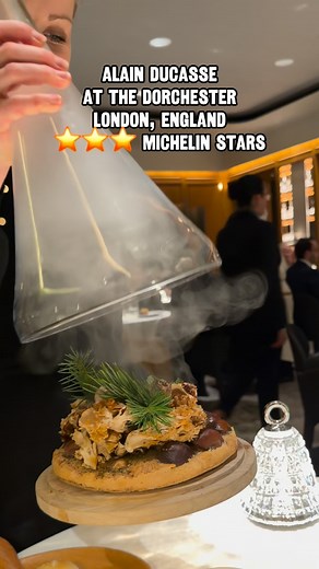 High Speed Dining on Instagram: "My first meal in London England was a 3 Michelin Star masterpiece at the gorgeous Alain Ducasse at The Dorchester. What they called a 7 course meal actually had over 40 different foods. I was blown away. This meal was delicious and huge with the mushroom course one of the highlights. #foodie #eating #michelinstar #michelinguide #gastronomy #restaurant #london #travel #alainducasse #alainducasseatthedorchester #highspeeddining"