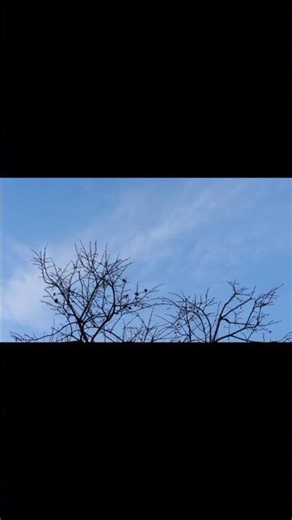 Nikon COOLPIX p610 DAY-TO-NIGHT TIMELAPSE￼