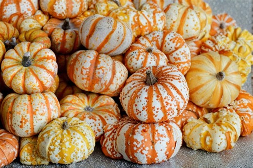 Striped Pumpkin 10 Seeds – Cucurbita Pepo - Etsy