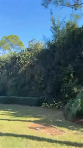 LawnScapes Of South Florida on Reels