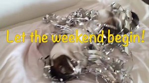 Have FUN! Let the weekend begin | Monty