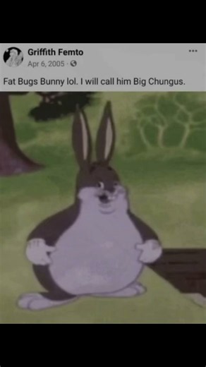 Big Chungus #memes #meme #funny #bigchungus