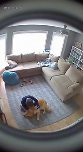 School can be a lot, pets can help ❤️🧡💛🩵💙 #autism #autismawareness #pets #servicedog #momlife www.autismawarenesscolors.com | Autism Awareness Page