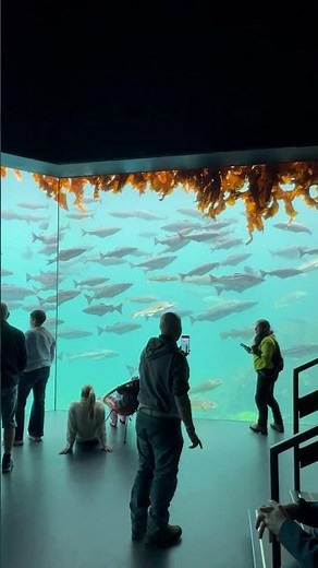Atlantic Sea-Park. Aquarium in Ålesund, Norway 🇳🇴.