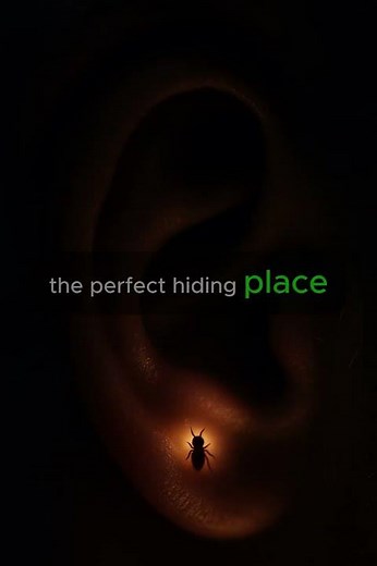 Bugs Can Live in Your Ear Unnoticed #sciencefacts #strangefacts #creepyfacts