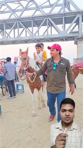 Horse In Rading Masti 💥Building🥰 a Wooden Log Cabin in the Forest😳 Step-by-Step Survival House