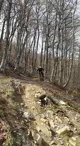 Bonanomi Twins training 🎸 🔥 🎯 Team Pro-M - Si ringraziano : ABS Fork Tune - Accumotor - Billet - DSB - Endura - Ethen - Filltermedia - Fox - Mec.Man - Mondraker - O’Neal - Pila - Virgilio Tentori - Vittoria | Pro-M