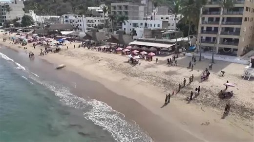 Elephant seal visits Mexican beach, surprises visitors