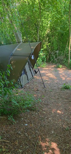 Essential Tips for Carp Fishing Success