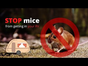 How to STOP mice from getting into an RV